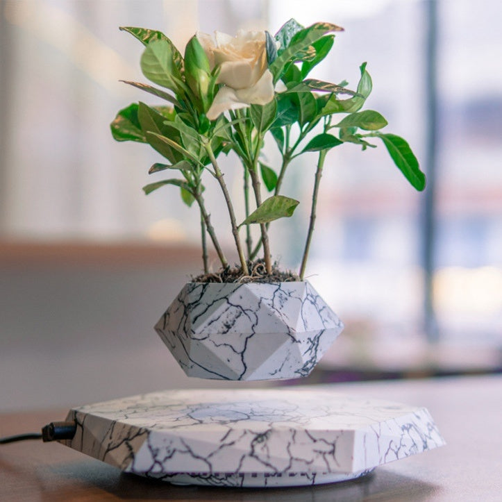 Marble Floating Magnetic Levitation Bonsai Planter – Unique Home & Office Decor Gift - Riva's Treasure 