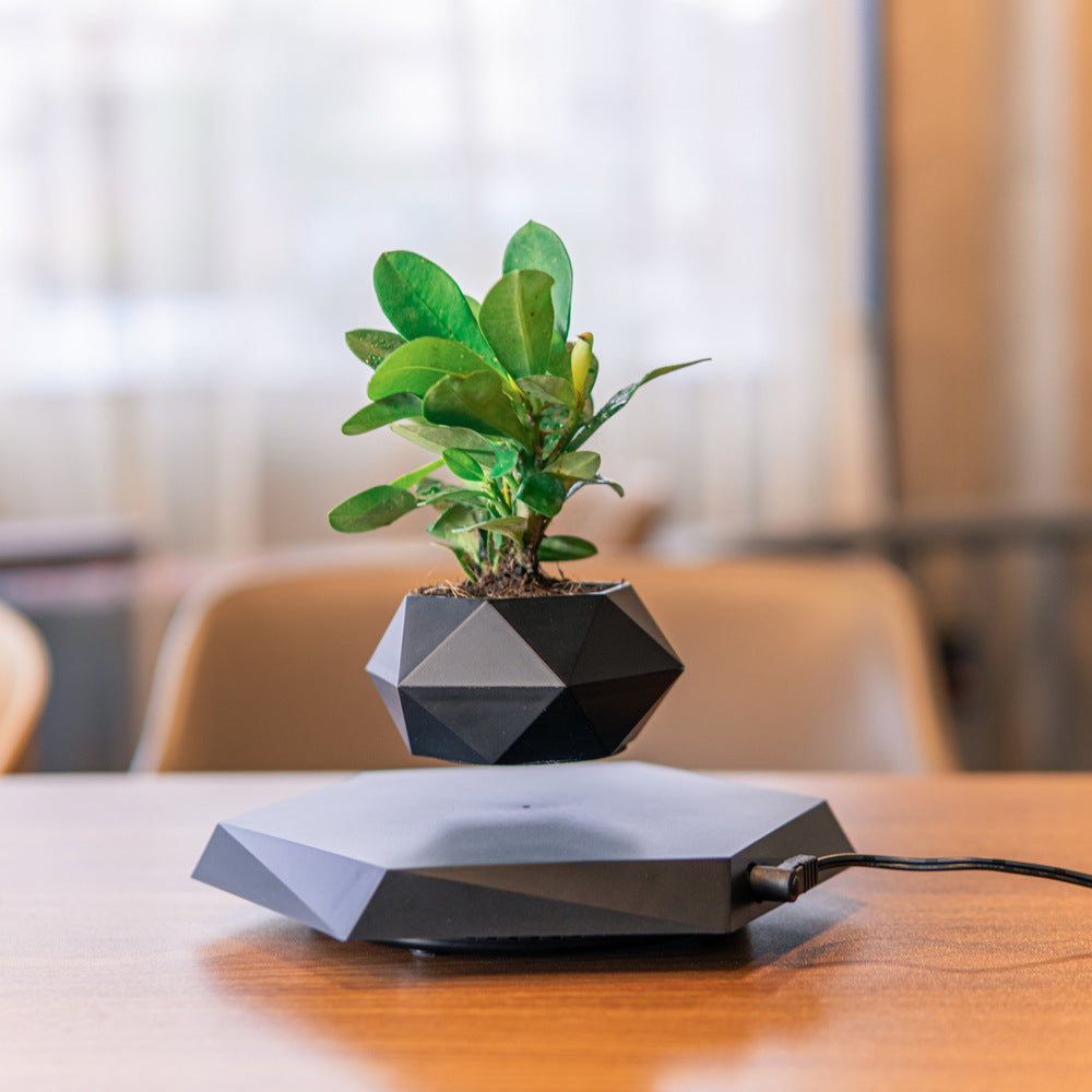 Levitating Magnetic Flower Pot - Floating Bonsai for Home and Office Decor - Riva's Treasure 