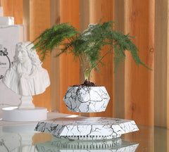 Marble Floating Magnetic Levitation Bonsai Planter – Unique Home & Office Decor Gift - Riva's Treasure 