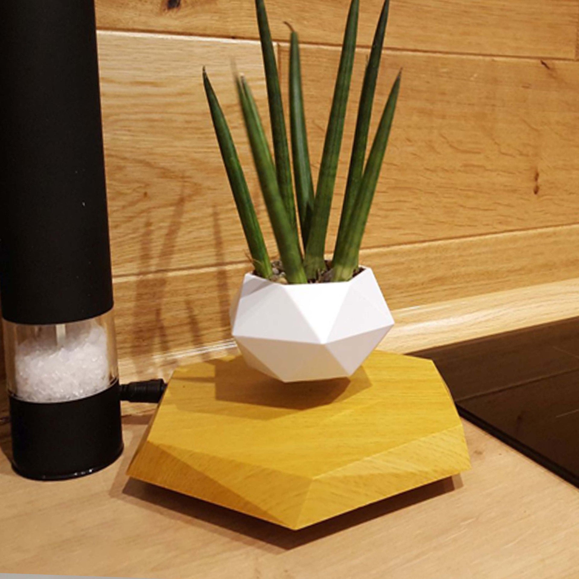 Levitating Magnetic Flower Pot - Floating Bonsai for Home and Office Decor - Riva's Treasure 