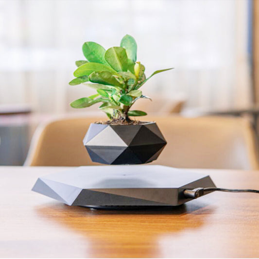 Levitating Magnetic Flower Pot - Floating Bonsai for Home and Office Decor - Riva's Treasure 