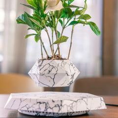 Levitating Magnetic Flower Pot - Floating Bonsai for Home and Office Decor - Riva's Treasure 